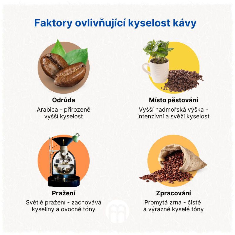 Faktory ovlivňující kyselost kávy